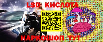 соль ск Камышлов