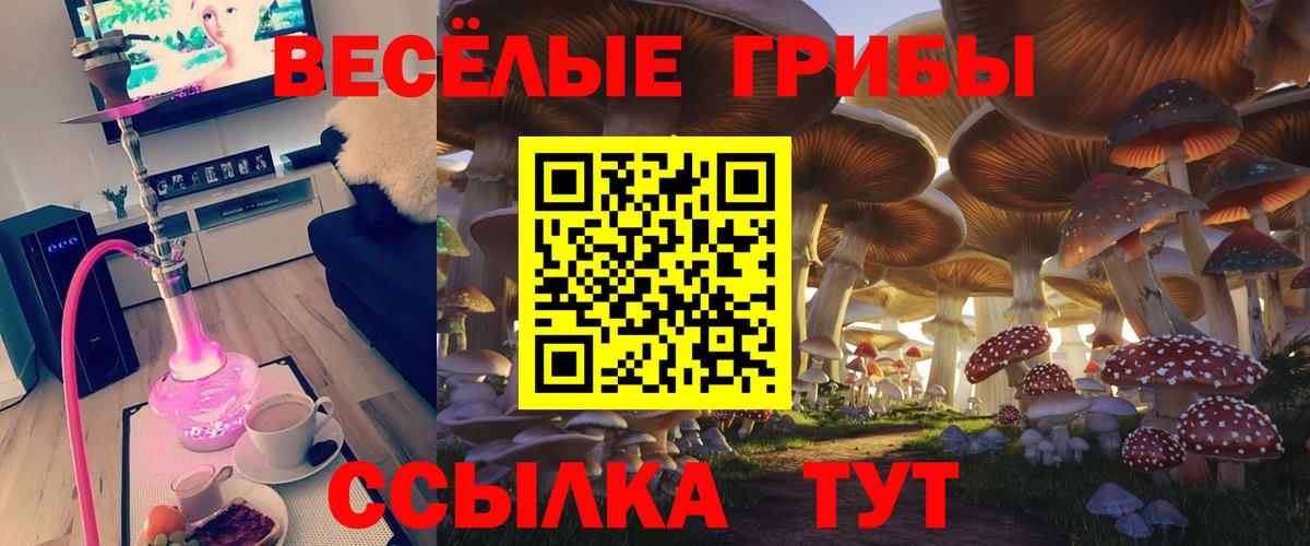 Бутират Курчалой
