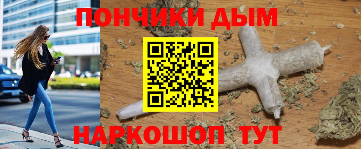 МАРИХУАНА сатива Курчалой